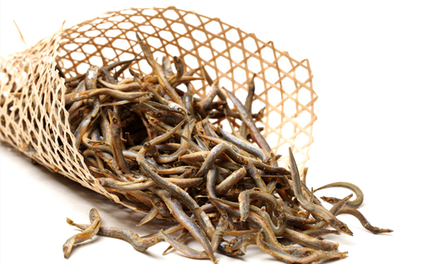 小銀魚(yú)