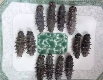 高檔干海參禮盒，傳統(tǒng)晾曬